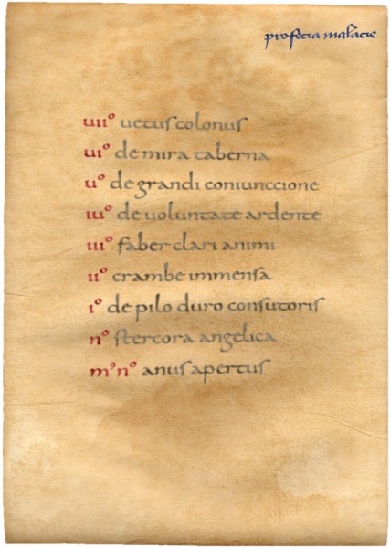 profecia malacie.jpg