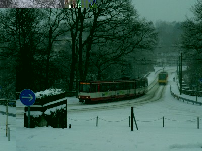 111.jpg