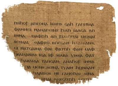 papyrus-veltensis-ketelhohn.jpg